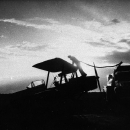 tiger_moth_at_dawn_web