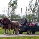 wagon-rides